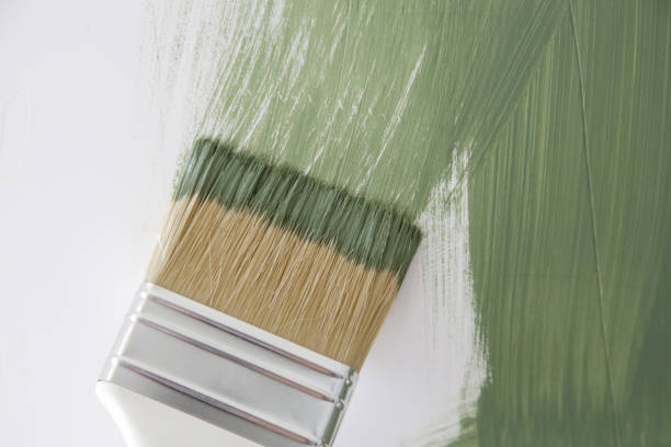 Best Black Mold Removal  in Stateburg, SC