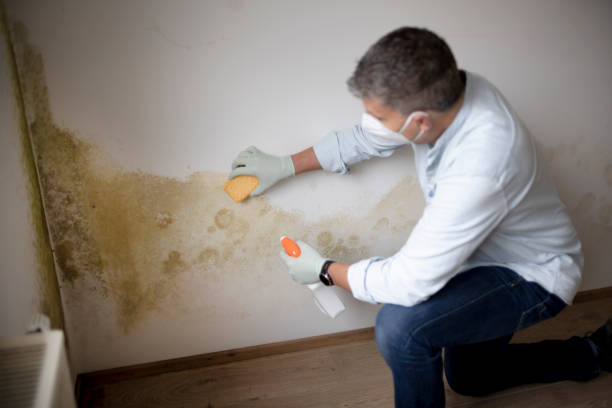 Best Airborne Mold Testing  in Stateburg, SC