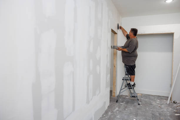 Best Post-Construction Mold Inspection  in Stateburg, SC